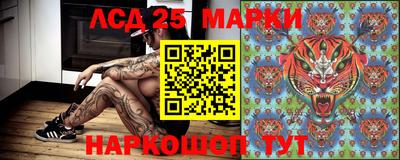 jwh Котовск
