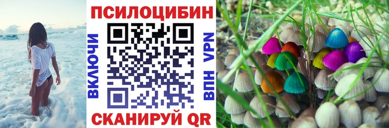 купить наркотики цена  blacksprut ONION  Псилоцибиновые грибы Psilocybe  Курганинск 