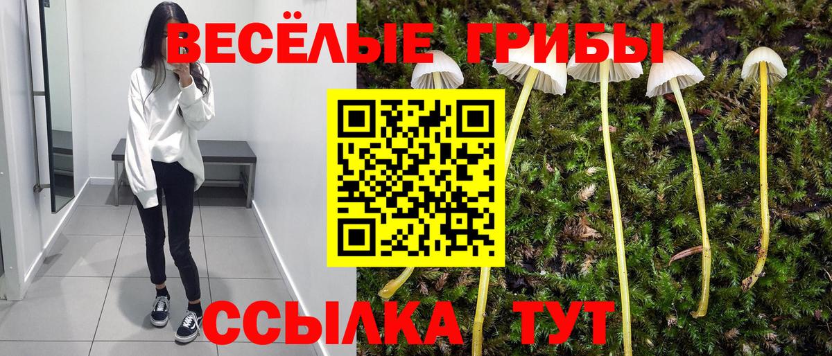 Псилоцибиновые грибы Magic Shrooms  дарнет шоп  Галлюциногенные грибы мицелий  Курганинск  Вход с VPN 