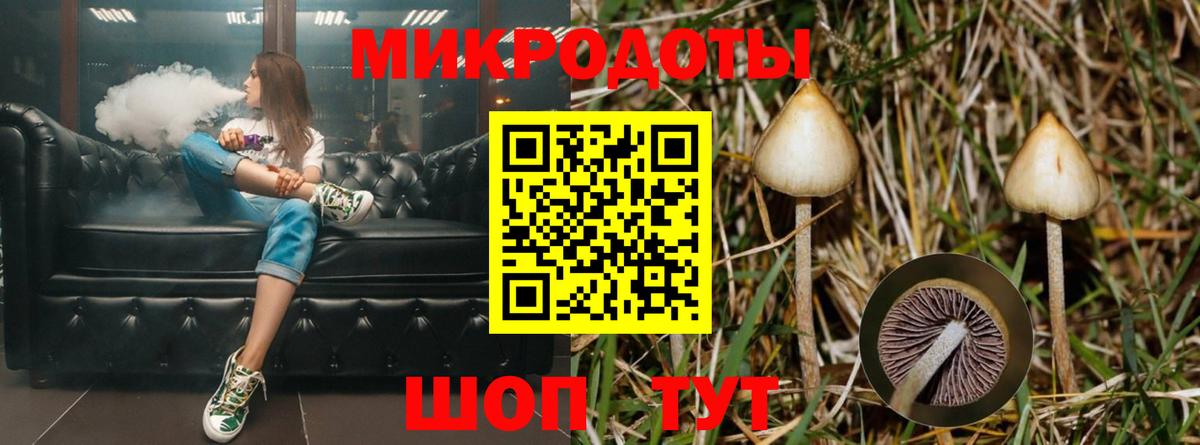 Галлюциногенные грибы MAGIC MUSHROOMS Курганинск